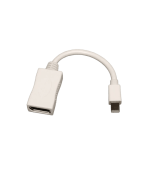 کابل تبدیل MINI DISPLAY به DISPLAY PORT